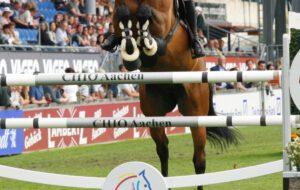 Wiesbaden: Houtzager siegt im CSI 4*-Grand Prix – Preis des Ministerpräsidenten nach Argentinien