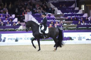 Indoor Brabant: Zonik Plus beats Glamourdale