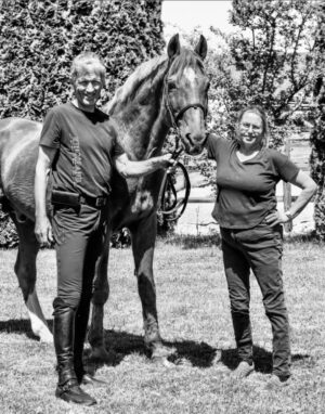 Ludger Beerbaums Goldfever lebt nicht mehr