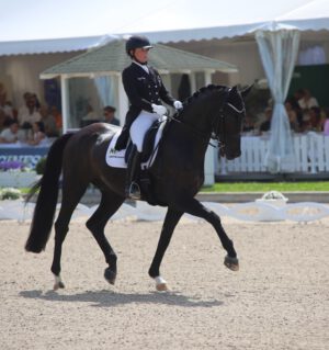 Werth startet Special Blend anstatt Quantaz in Wellington