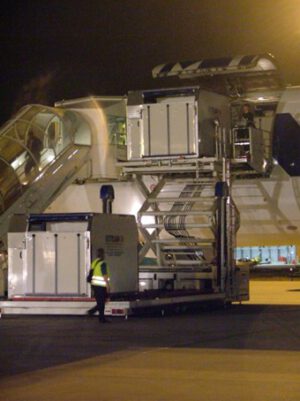 147 horses safely returned home from Doha